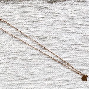 Texas Necklace